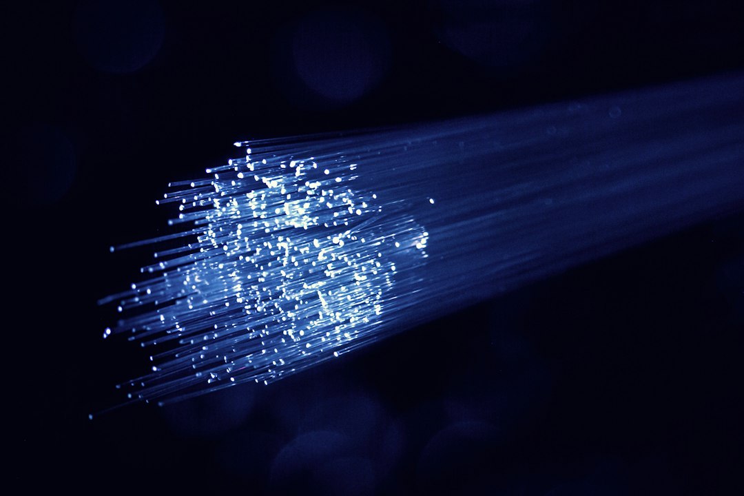 Bundle of optical fibers carrying light signals