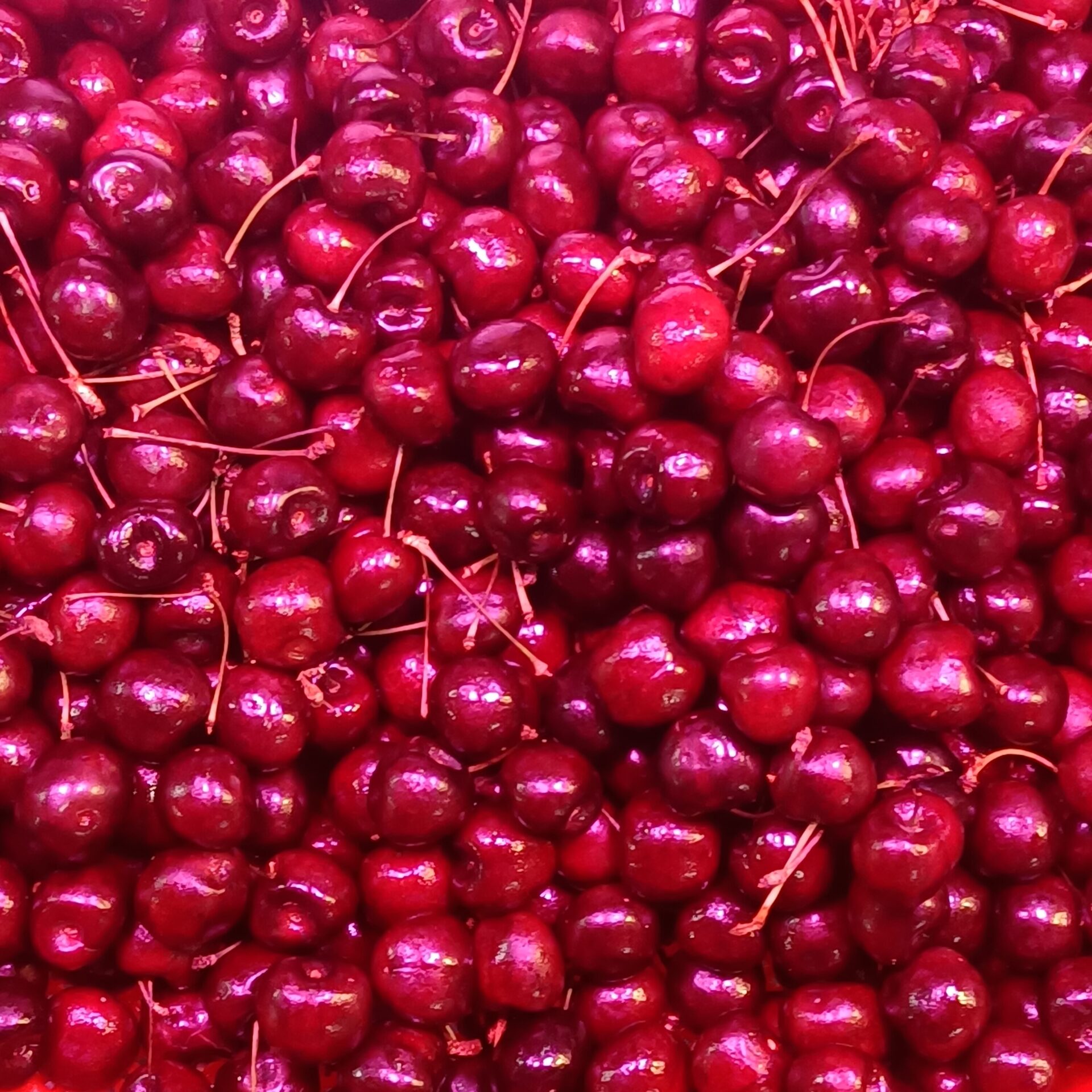 Chilean cherries (CC0)