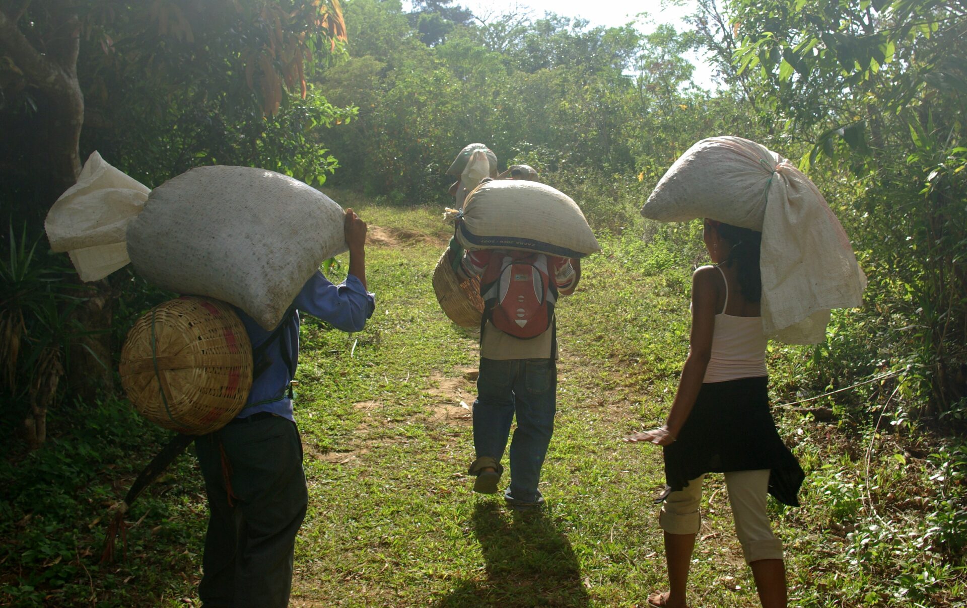 Coffee growers in Tacuba, El Salvador