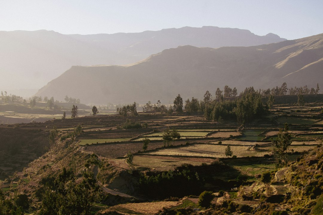 Colca Canyon in the Peruvian Andes (illustrative image)