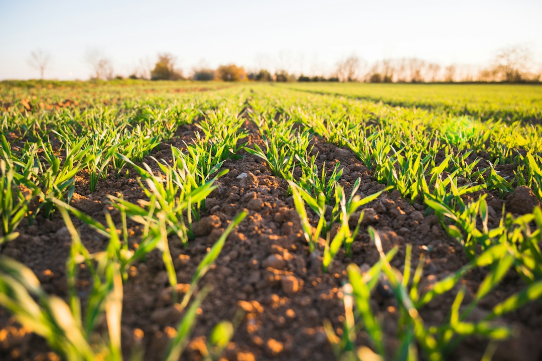 Precision agriculture drone flying over crops in 2026