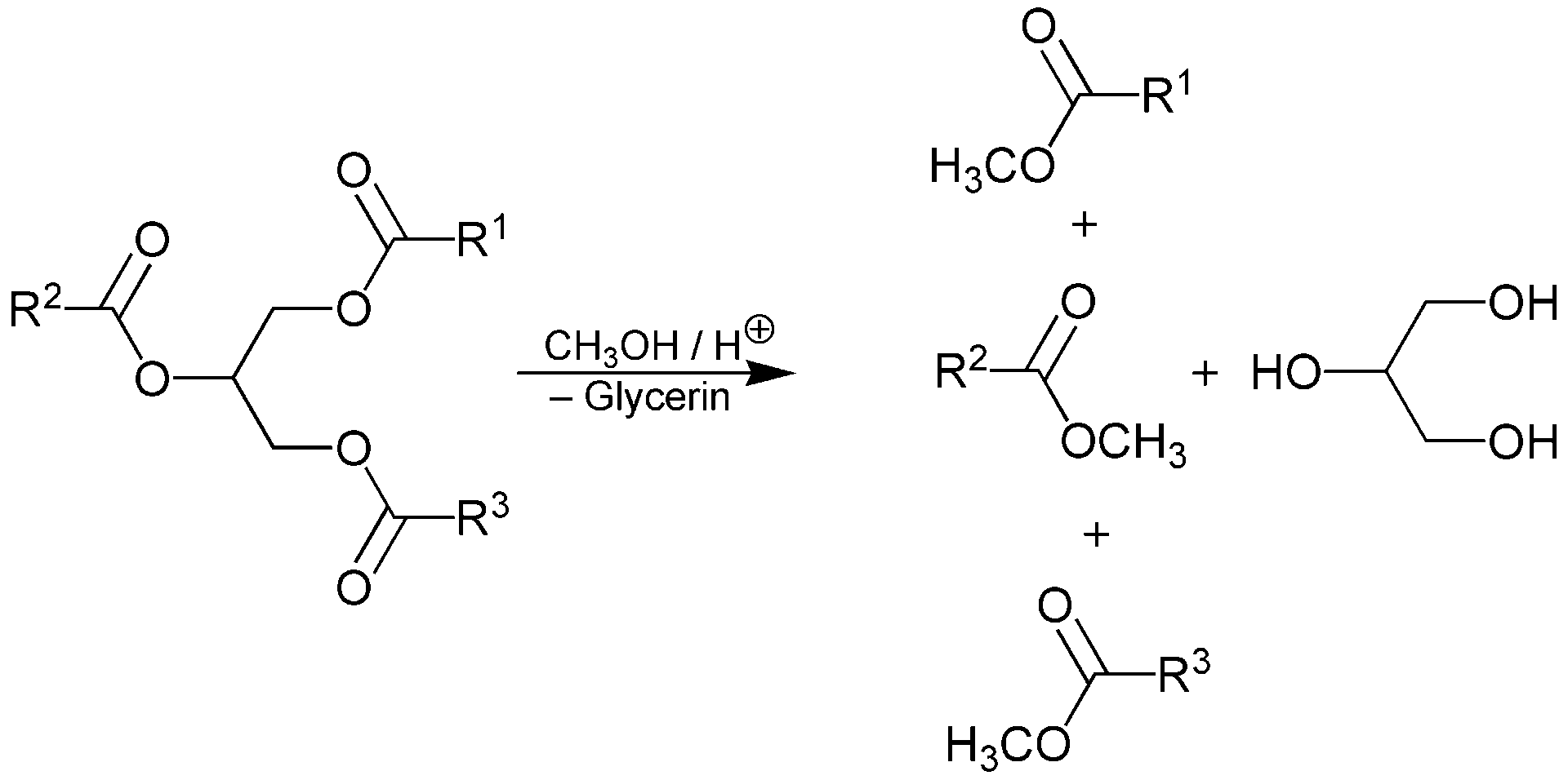 Schematic of biodiesel production (Public Domain)