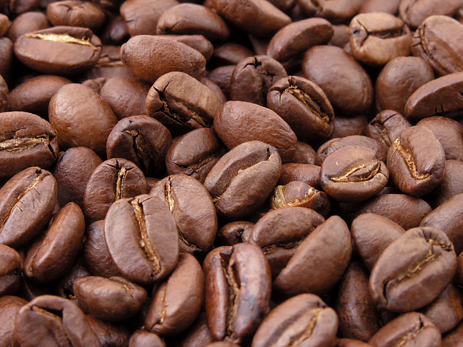 Close up high resolution image of roasted coffee beans, a staple agricultural export of the Latin American region.